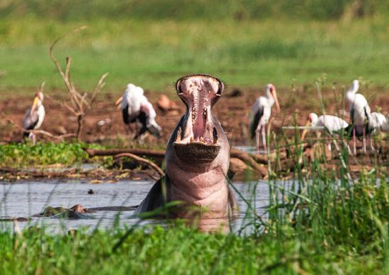 Lake-Manyara-National-park.jpg